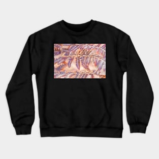 Fern Crewneck Sweatshirt